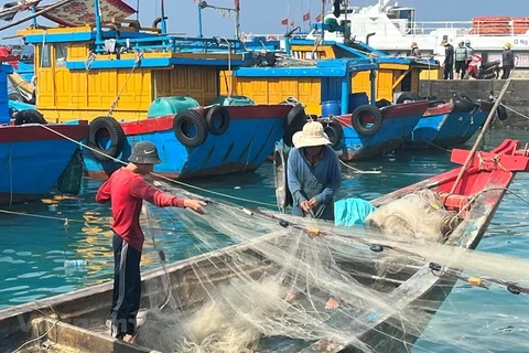 Binh Thuân est la première localité à ne compter aucun bateaux non qualifiés en activité en mer