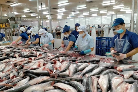 Les États-Unis, le Japon et la Chine sont les plus grands importateurs de produits aquatiques du Vietnam