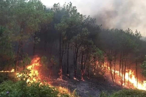 Le PM demande la mise en œuvre de mesures drastiques de prévention et de lutte contre les incendies de forêt