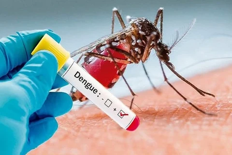 L'Indonésie enregistre une multiplication par trois des cas de dengue