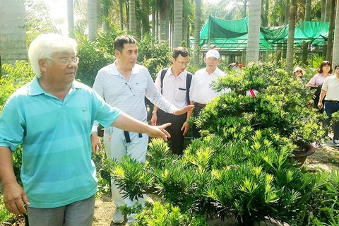 Promotion du tourisme agricole à Ho Chi Minh-Ville