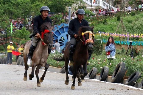 La course hippique "Sabots de chevaux dans les nuages" à Lao Cai