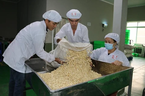 Bond des exportations de la noix de cajou en Chine