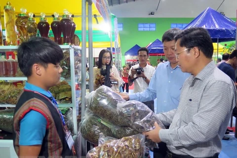 La 32e foire du ginseng de Ngoc Linh attire la foule 