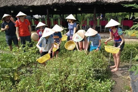 Ho Chi Minh-Ville lance sept programmes de tourisme écologique et agricole