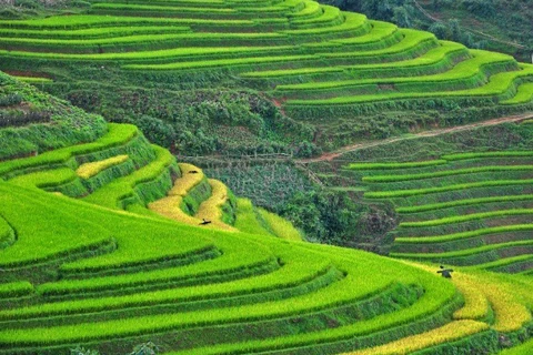 Sa Pa et Ninh Binh dans le top des destinations les plus attrayantes en Asie