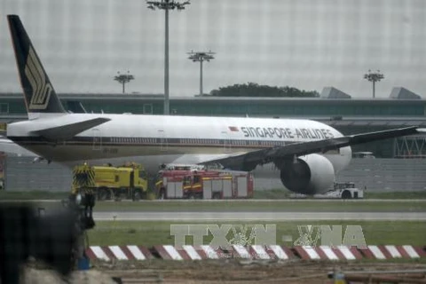 Singapore Airlines reprendra sa ligne vers Fukuoka (Japon) en novembre