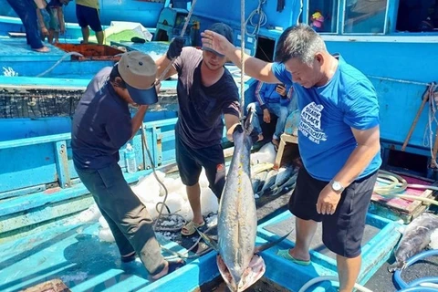 Binh Thuan lutte contre la pêche illicite