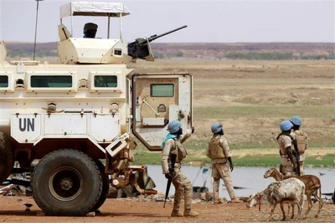 Le Vietnam appelle à plus d'efforts pour la paix au Mali