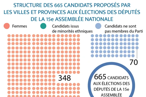 Élections législatives: Structure des 665 candidats proposés par les villes et provinces 