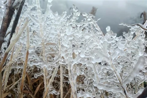 Le froid de canard persiste dans le Nord et à Thanh Hoa jusqu’au 22 février