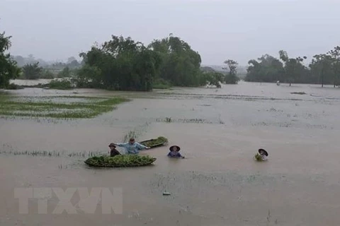 De fortes pluies causent de lourds dégâts dans les localités du Nord