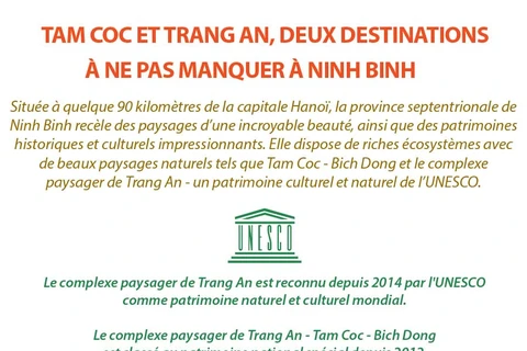 Tam Coc et Trang An, deux destinations à ne pas manquer à Ninh Binh