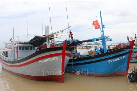 Pêche INN: Ba Ria-Vung Tau s'efforce de supprimer le "carton jaune" de la CE 