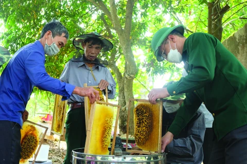 Un vétéran de guerre fait fortune grâce à l’apiculture