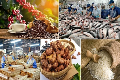 Les exportations de produits agricoles, sylvicoles et aquacoles en baisse en janvier