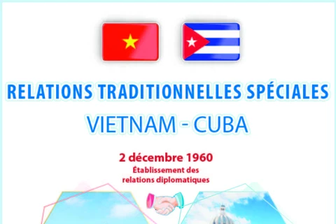 Relations traditionnelles spéciales Vietnam - Cuba