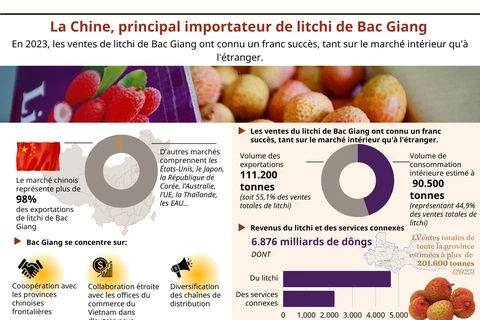 La Chine, principal importateur de litchi de Bac Giang