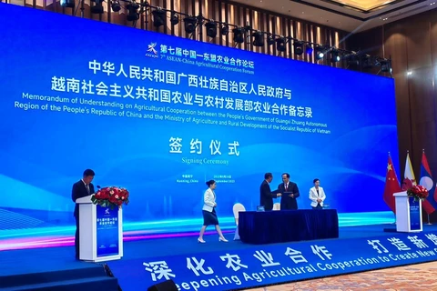 Le Vietnam et le Guangxi (Chine) signent un protocole d’accord sur la coopération agricole