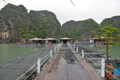 Quang Ninh : préserver les anciens villages de pêcheurs