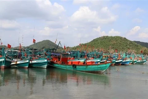 Ba Ria-Vung Tau impose de lourdes amendes aux navires violant les règles de lutte contre la pêche INN