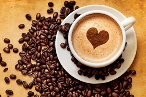 Croissance impressionnante des exportations nationales de café dans de nombreux marchés