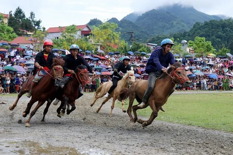 Rendez-vous en juin sur l’hippodrome de Bac Ha 