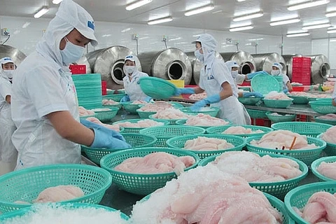 L’UE, toujours un débouché très important pour les pangasius du Vietnam