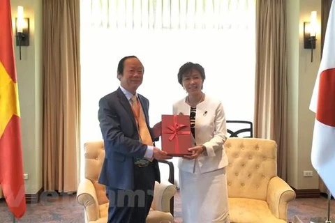 Le Japon soutient le Vietnam dans le traitement des déchets plastiques et océaniques 