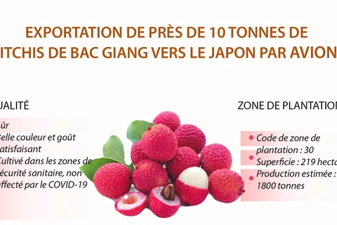Exportation de près de 10 tonnes de litchis de Bac Giang vers le Japon