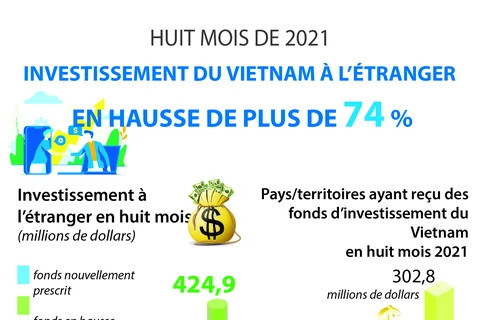 Investissement du Vietnam à l'étranger en hausse de plus de 74%