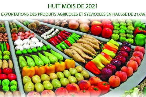Exportations des produits agricoles et sylvicoles en huit mois 2021