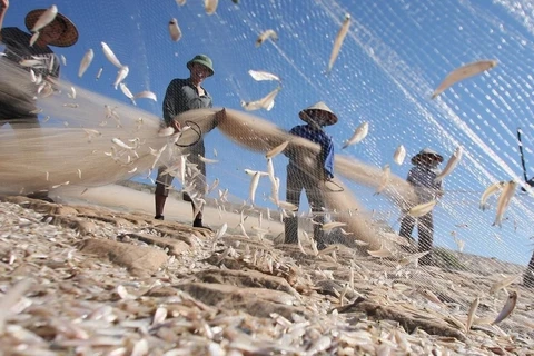 Renforcer les arguments scientifiques pour le développement durable de l'économie maritime