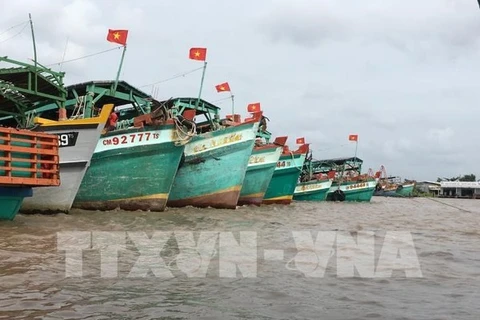 Tien Giang : efficacité de la sensibilisation des pêcheurs sur l’INN