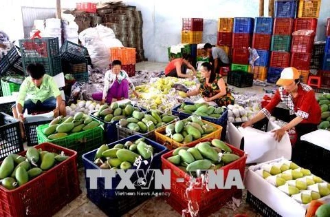 Le Vietnam augmente ses exportations de produits industriels et agricoles vers la Chine 