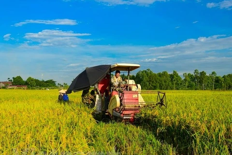 "Villages intelligents face au climat" - un modèle s'adapte au changement climatique