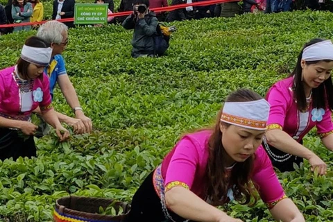Le Vietnam publie une liste de 13 produits agricoles clés 
