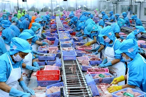 Le Vietnam, quatrième exportateur mondial de produits aquatiques