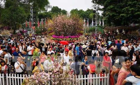 La fête des fleurs de cerisier Japon - Hanoï 2019 se prolonge