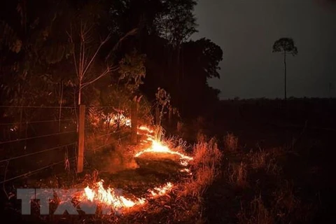 Feux de forêt : plus de 2.500 points chauds localisés en Asie du Sud-Est