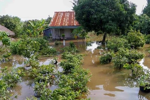 Recherche des solutions pour l'adaptation au changement climatique dans le delta du Mékong