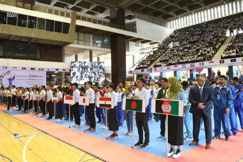 Le Vietnam remporte le titre du 6e Championnat du monde de Vovinam