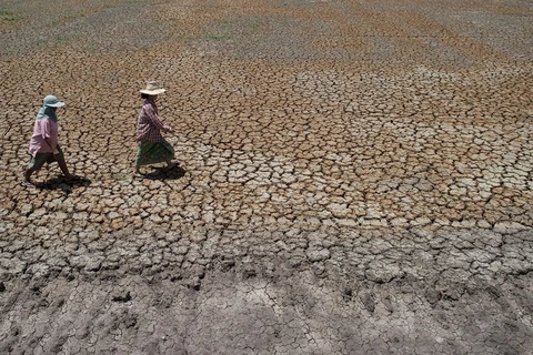 Thaïlande: la population est gravement touchée par la sécheresse et la salinisation