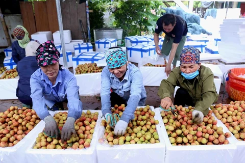 Le Vietnam dispose de nombreuses opportunités d'affaires avec Singapour