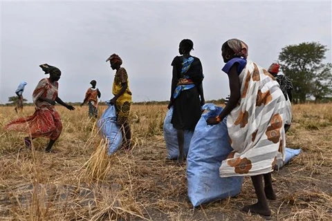 Le chef de la Mission permanente du Vietnam auprès de l'ONU se rend au Soudan du Sud