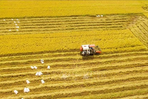 S'orienter vers l'agriculture verte et durable