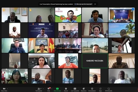 Visioconférence sur les relations d'affaires Vietnam-Côte d'Ivoire