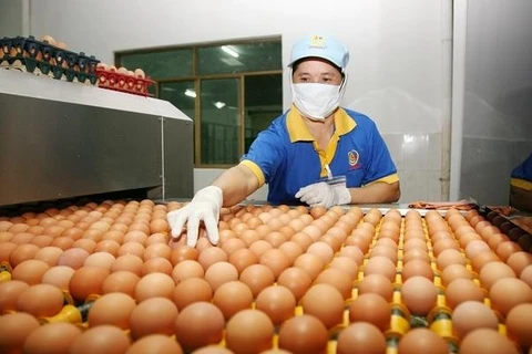 Le Vietnam se porte bien dans son rôle de leader dans la transformation du système alimentaire