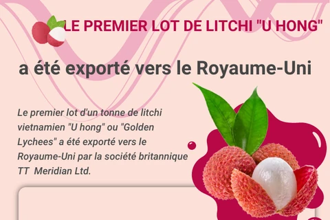 Le premier lot de litchi vietnamien "U hong" expédié vers le Royaume-Uni 