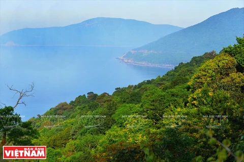 La péninsule de Son Trà, un cadeau de la nature pour Da Nang